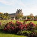 À la découverte du magnifique jardin des Tuileries à Paris